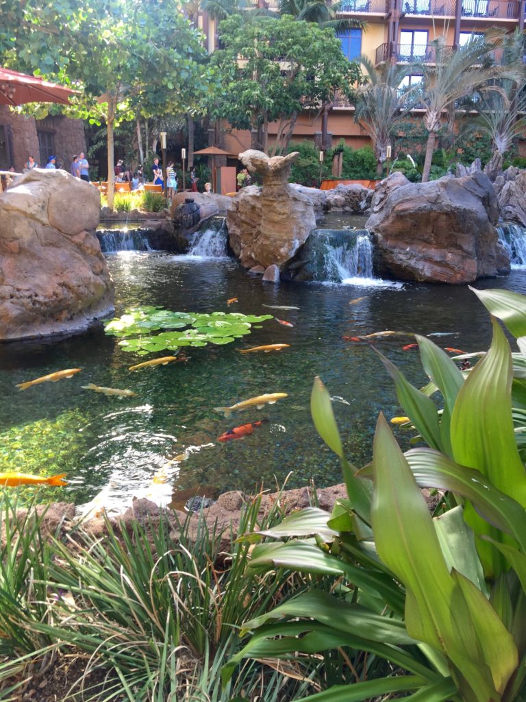 Tips for Enjoying Disney's Aulani koi pond