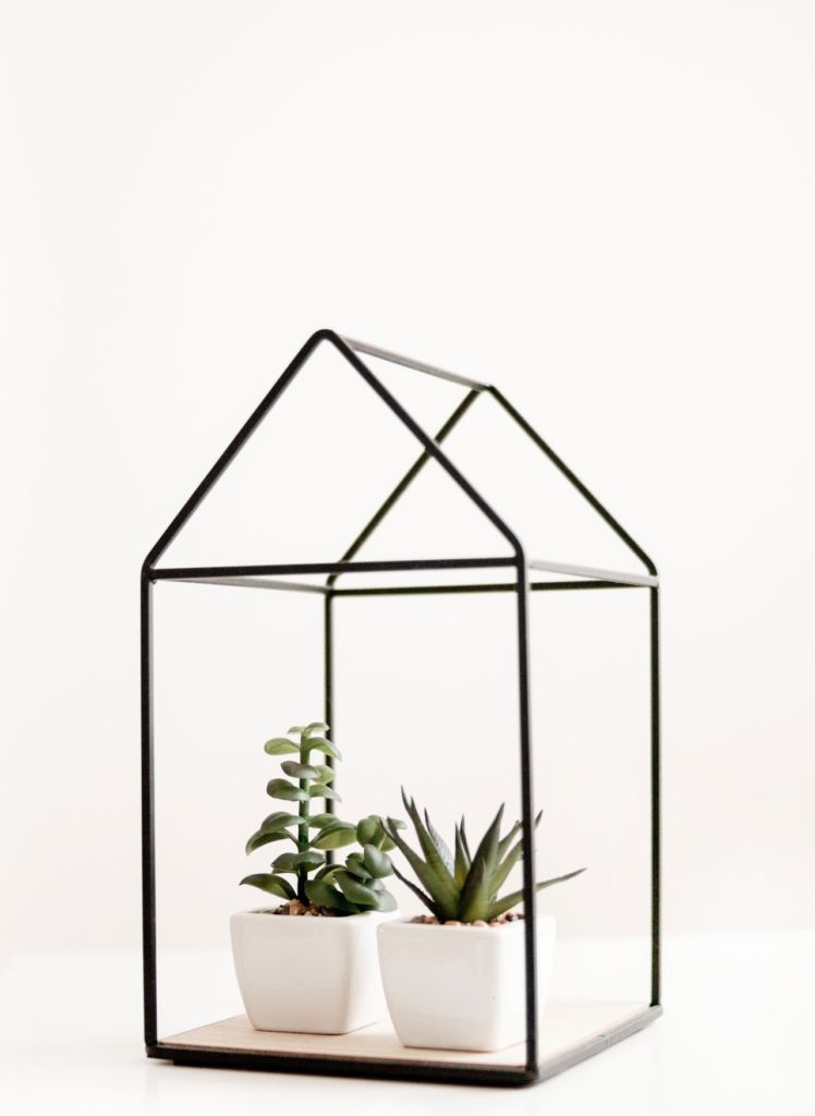100 ways to be a minimalist include plants as decor