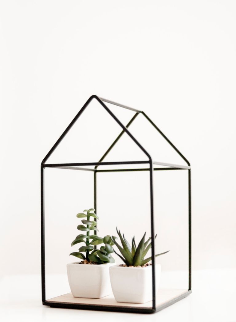 100 Ways To Be a Minimalist (Without Even Trying!)