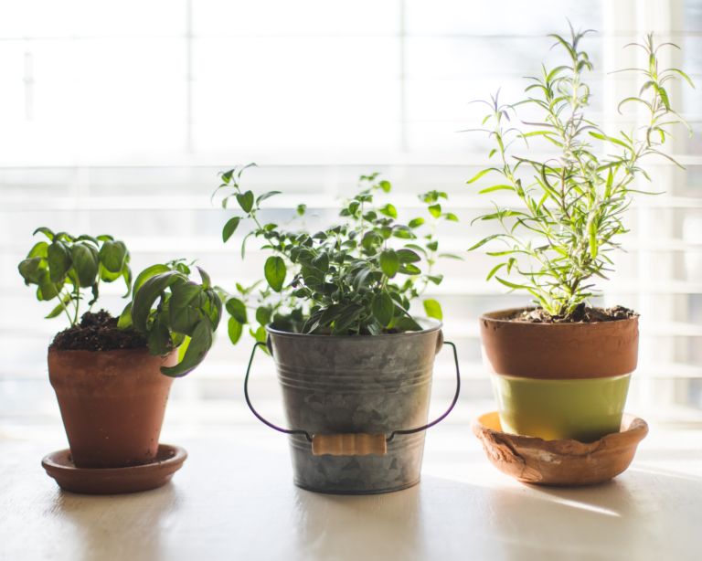 9 Minimalist Hobbies To Try in 2025!