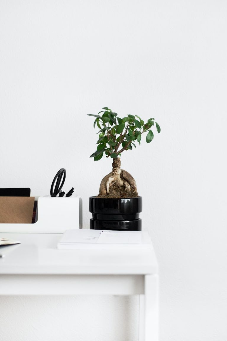 Things Minimalists Do Not Buy!