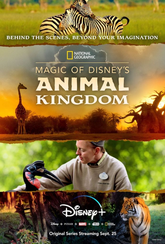 Disney+’s Magic of Disney’s Animal Kingdom