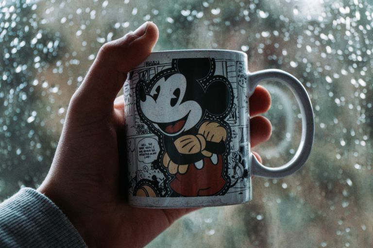 Disneyland in the Rain: What it’s Like and What to Do